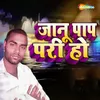 About Jaanu Pap Pari Ho Song